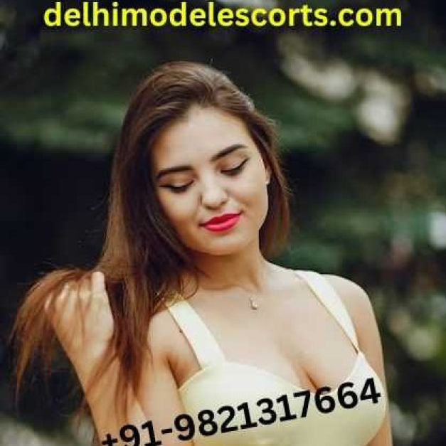 Discovering Delight: Your Ultimate Call Girl Experience in Vikas Puri, Delhi
